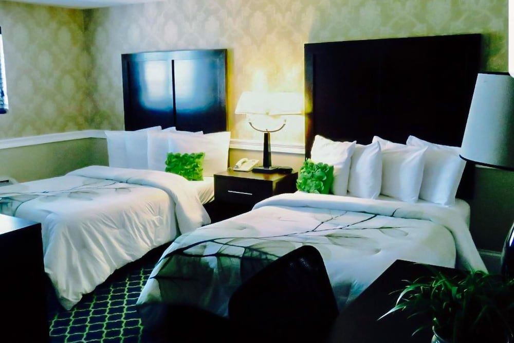 Standard Double Room, 2 Double Beds, Non Smoking