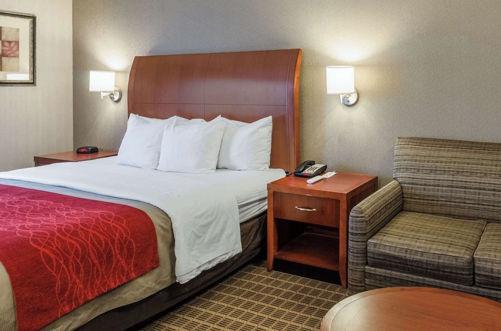 Standard Room, 1 King Bed, Non Smoking