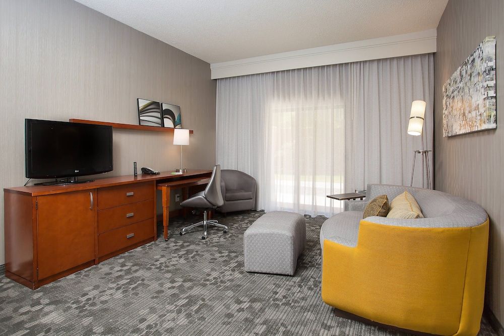 Room, 1 King Bed with Sofa bed (Hearing Accessible)