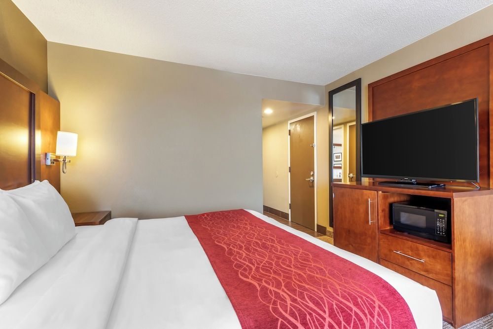 Room, 1 King Bed, Accessible, Non Smoking