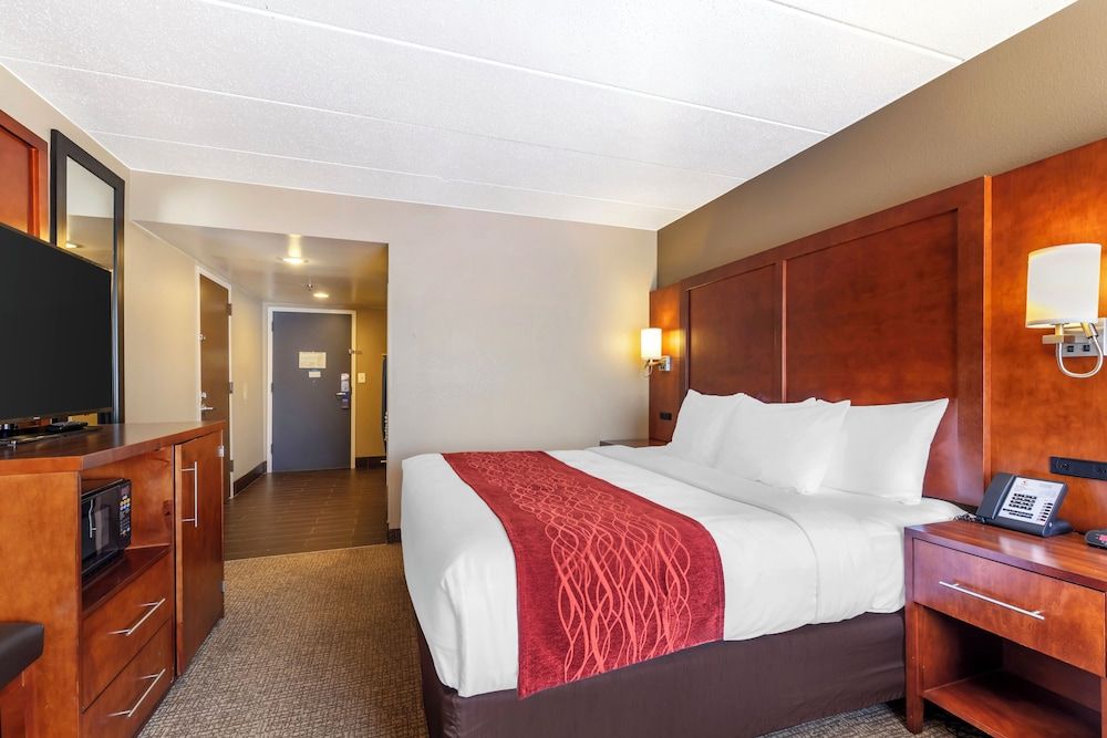 Standard Room, 1 King Bed, Non Smoking