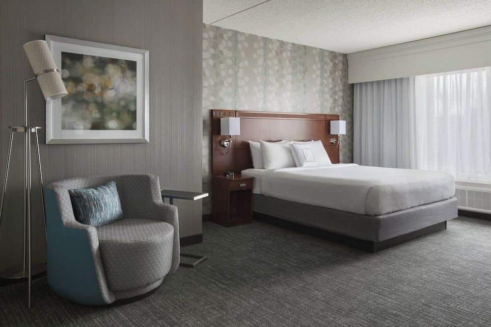 Suite, 1 King Bed with Sofa bed