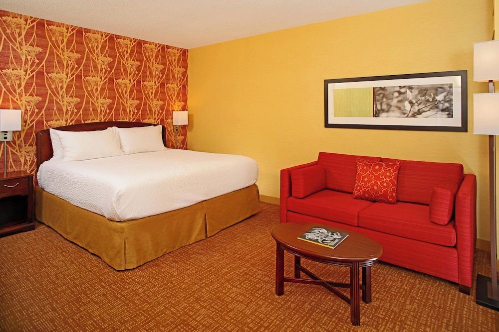 Room, 1 King Bed with Sofa bed (Hearing Accessible)