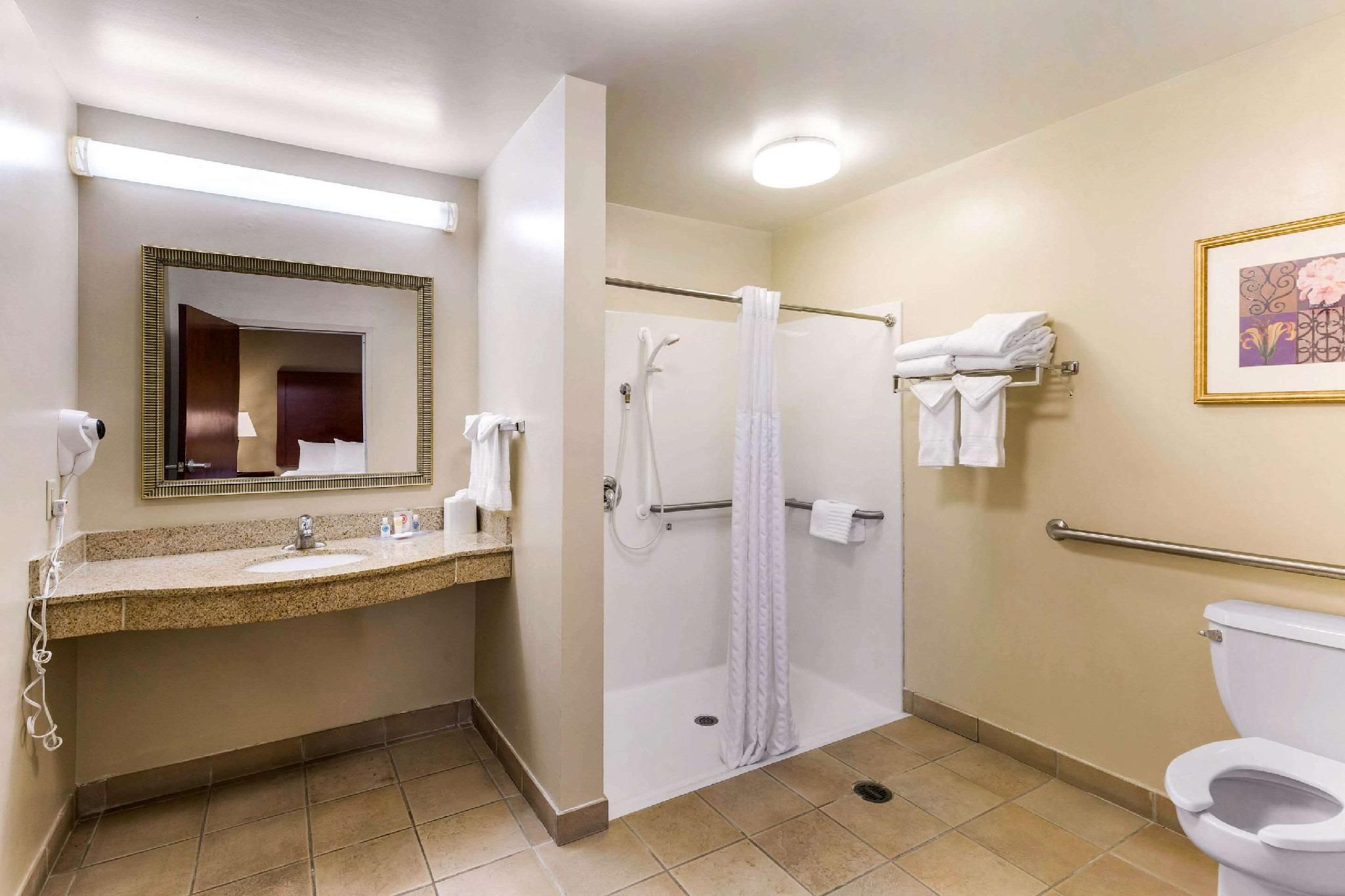 1 King Bed, Suite, Nonsmoking, Accessible