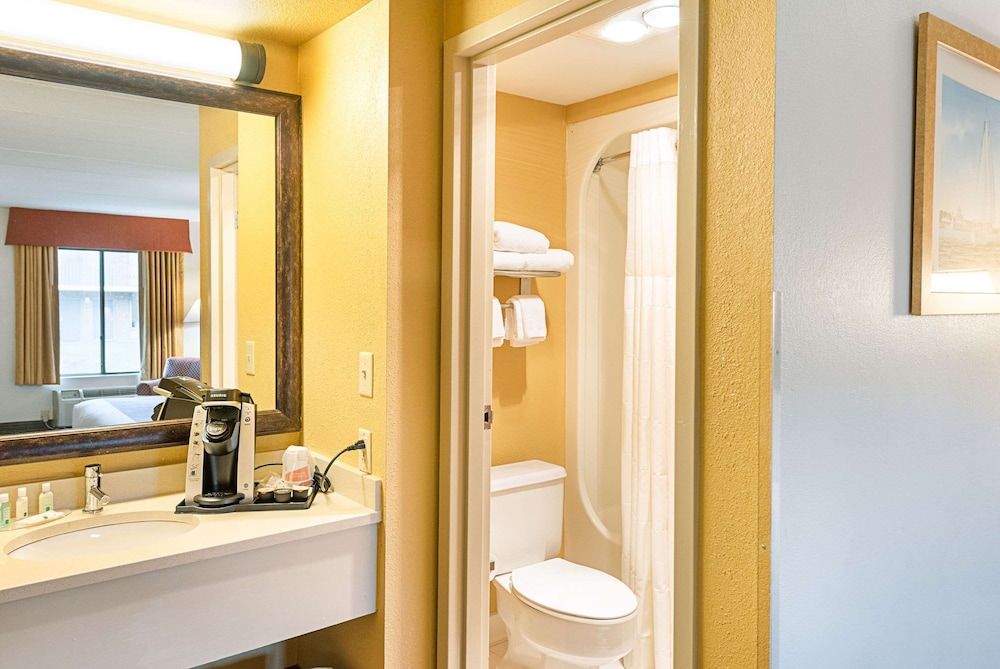 Room, 1 King Bed