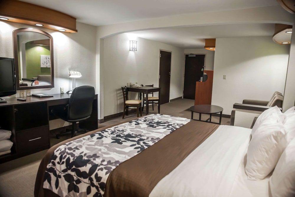Suite, 1 King Bed with Sofa bed, Accessible, Non Smoking