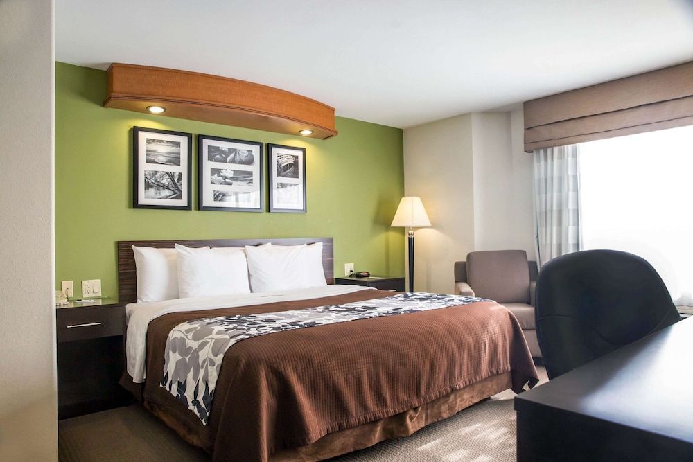 Standard Room, 1 King Bed, Non Smoking