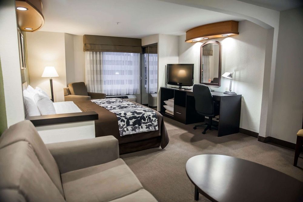 Suite, 1 King Bed with Sofa bed, Accessible, Non Smoking
