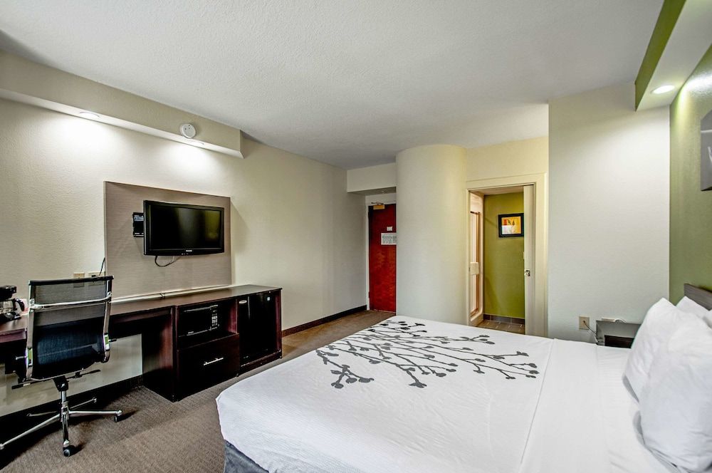 Standard Room, 1 King Bed, Non Smoking