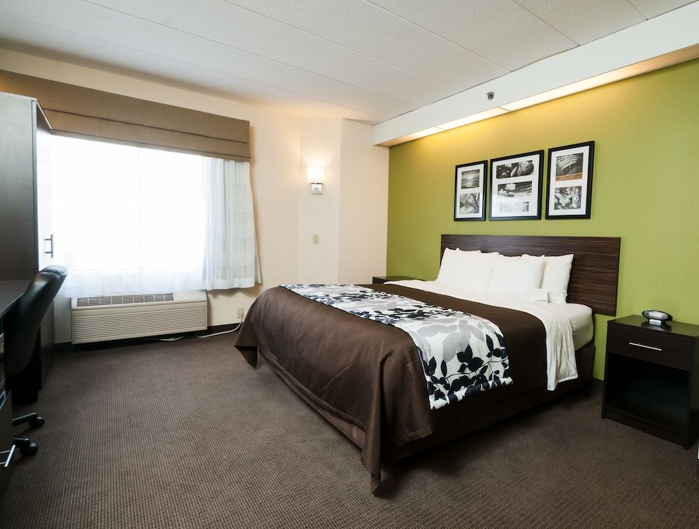 Suite, 1 King Bed with Sofa bed, Accessible, Non Smoking