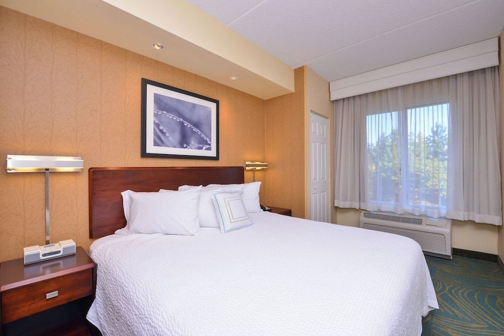 Studio, 1 King Bed with Sofa bed (Mobility/Hearing Access, Roll-in Shwr)