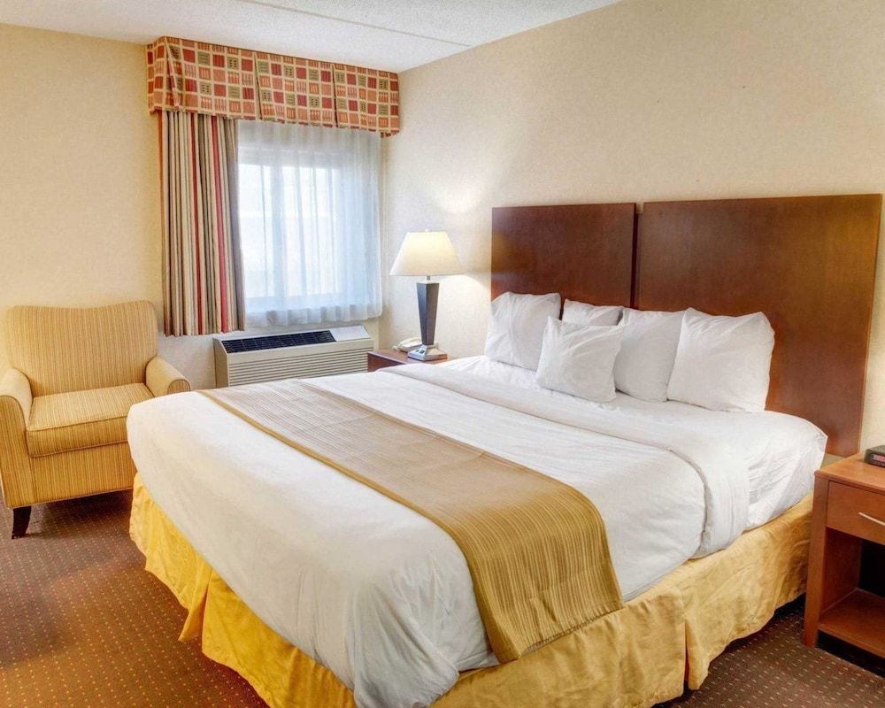 Room, 1 King Bed, Non Smoking