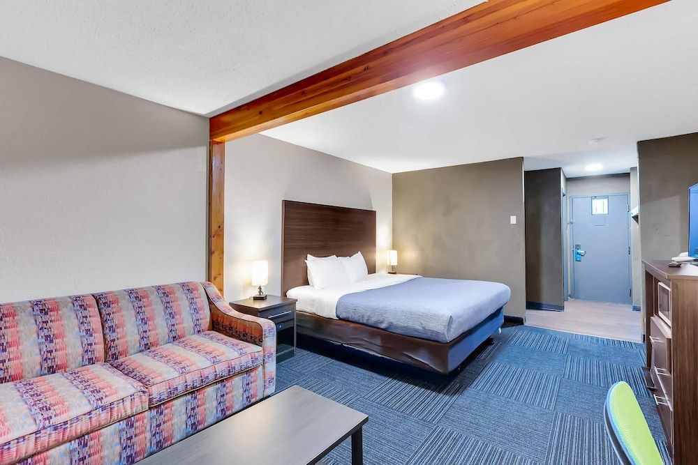 Standard Room, 1 King Bed, Non Smoking