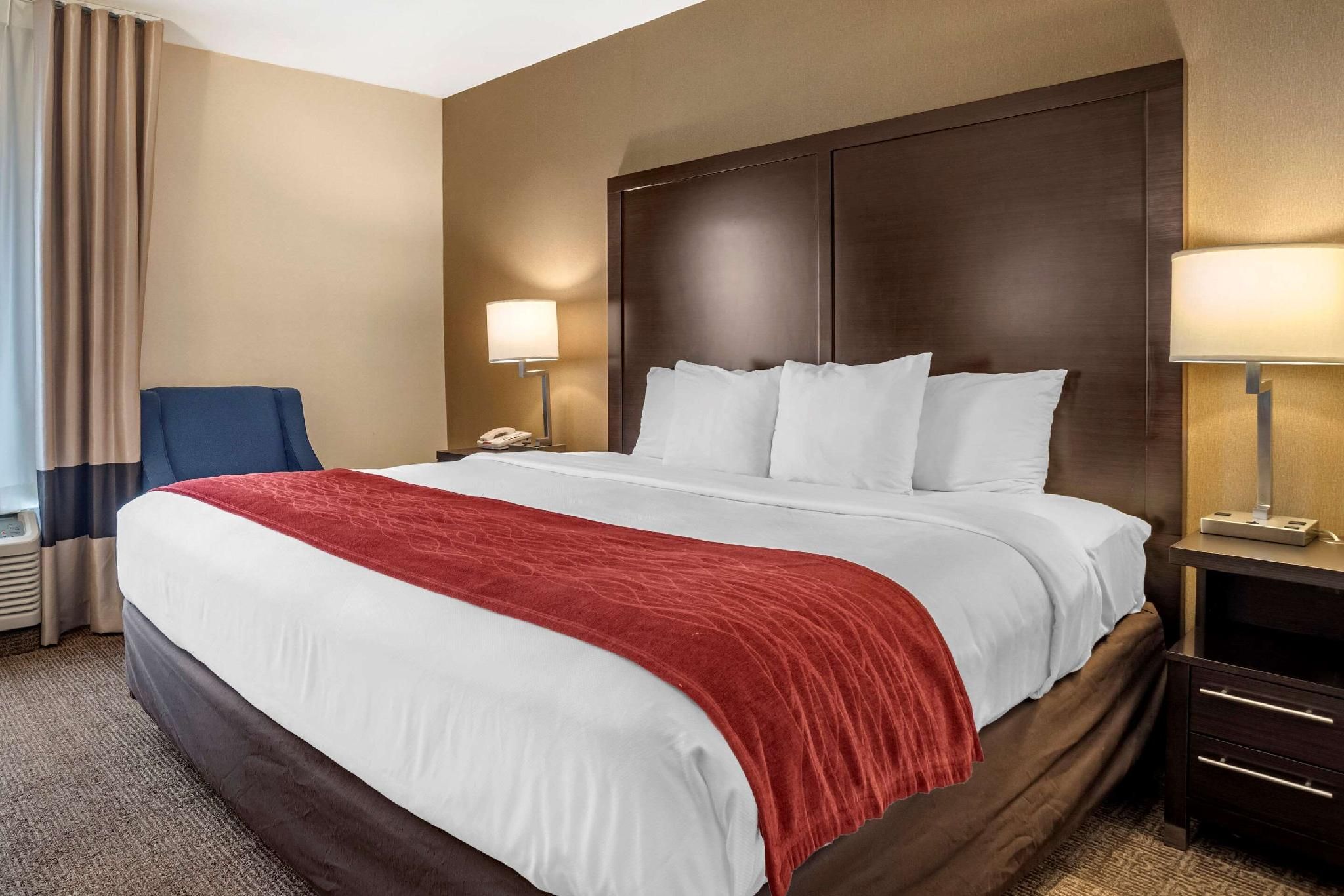 1 King Bed, Nonsmoking