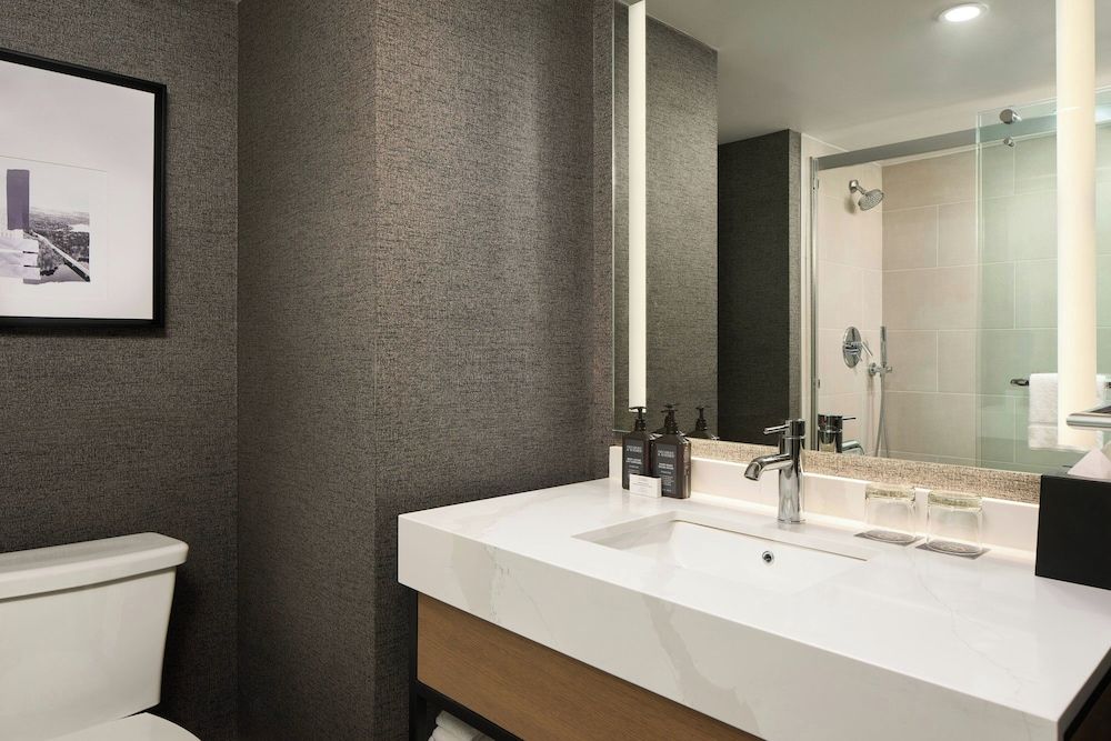 Traditional Room, 1 King Bed (Mobility Accessible, Roll-in Shower)