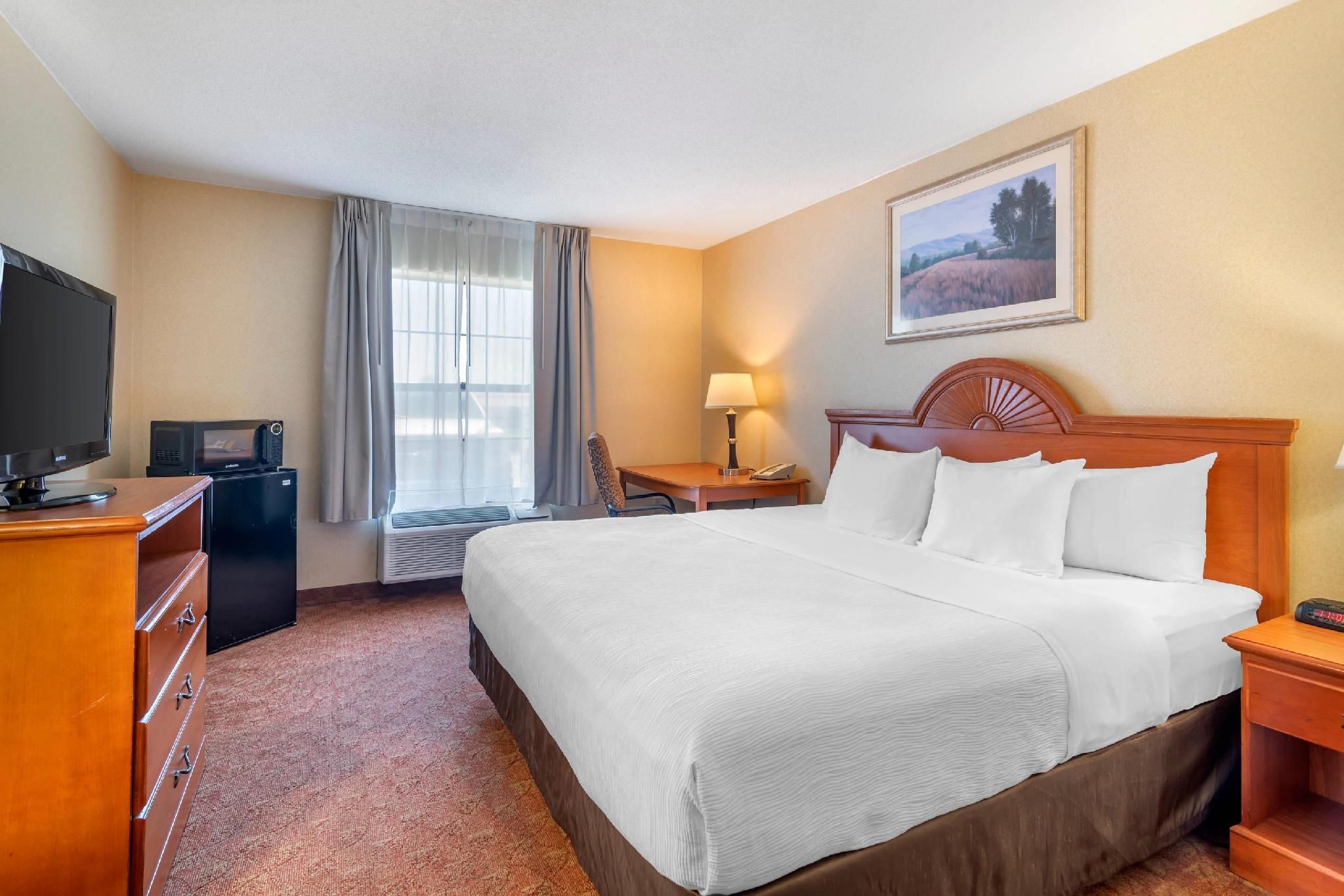 1 King Bed, Nonsmoking