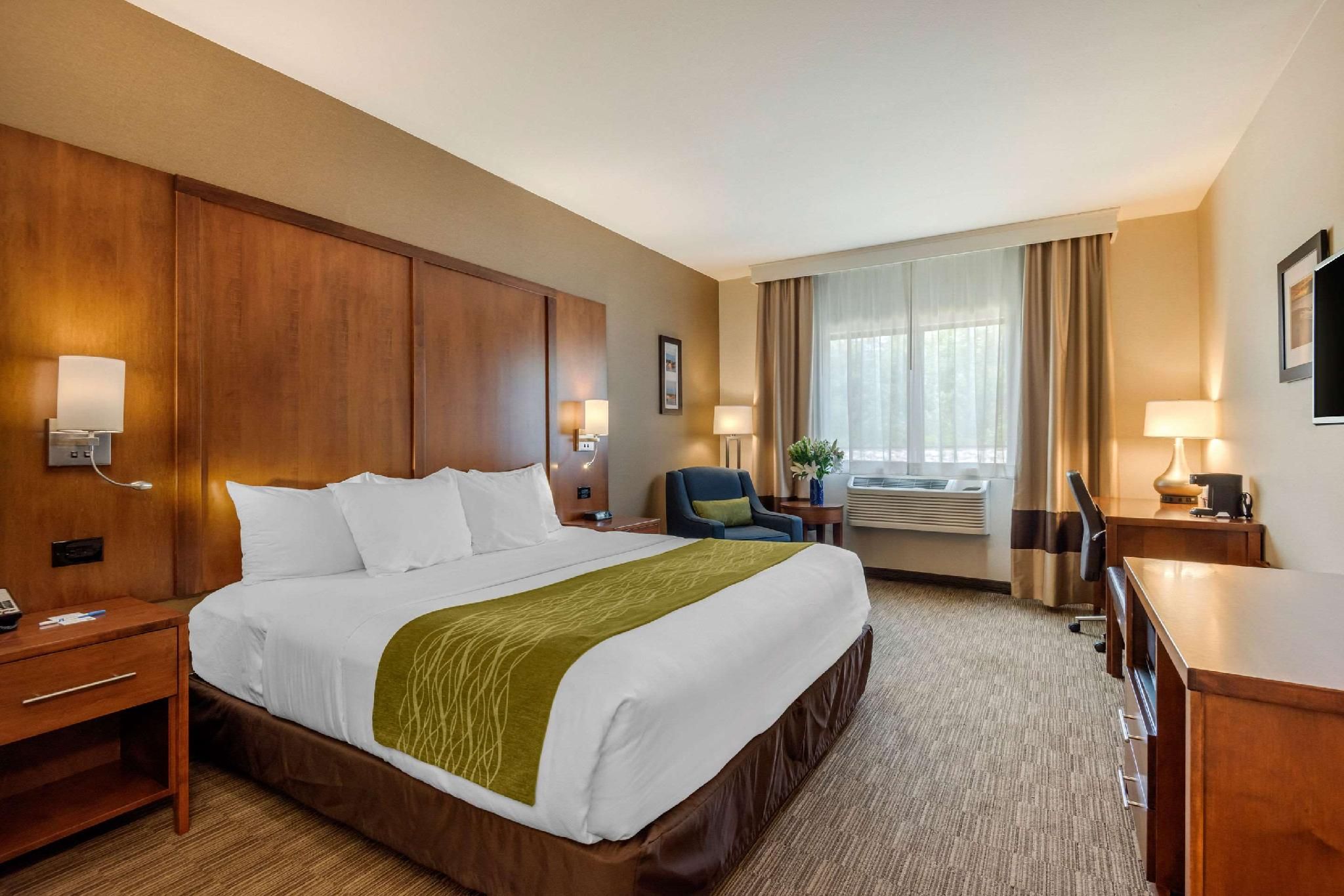 1 King Bed, Nonsmoking