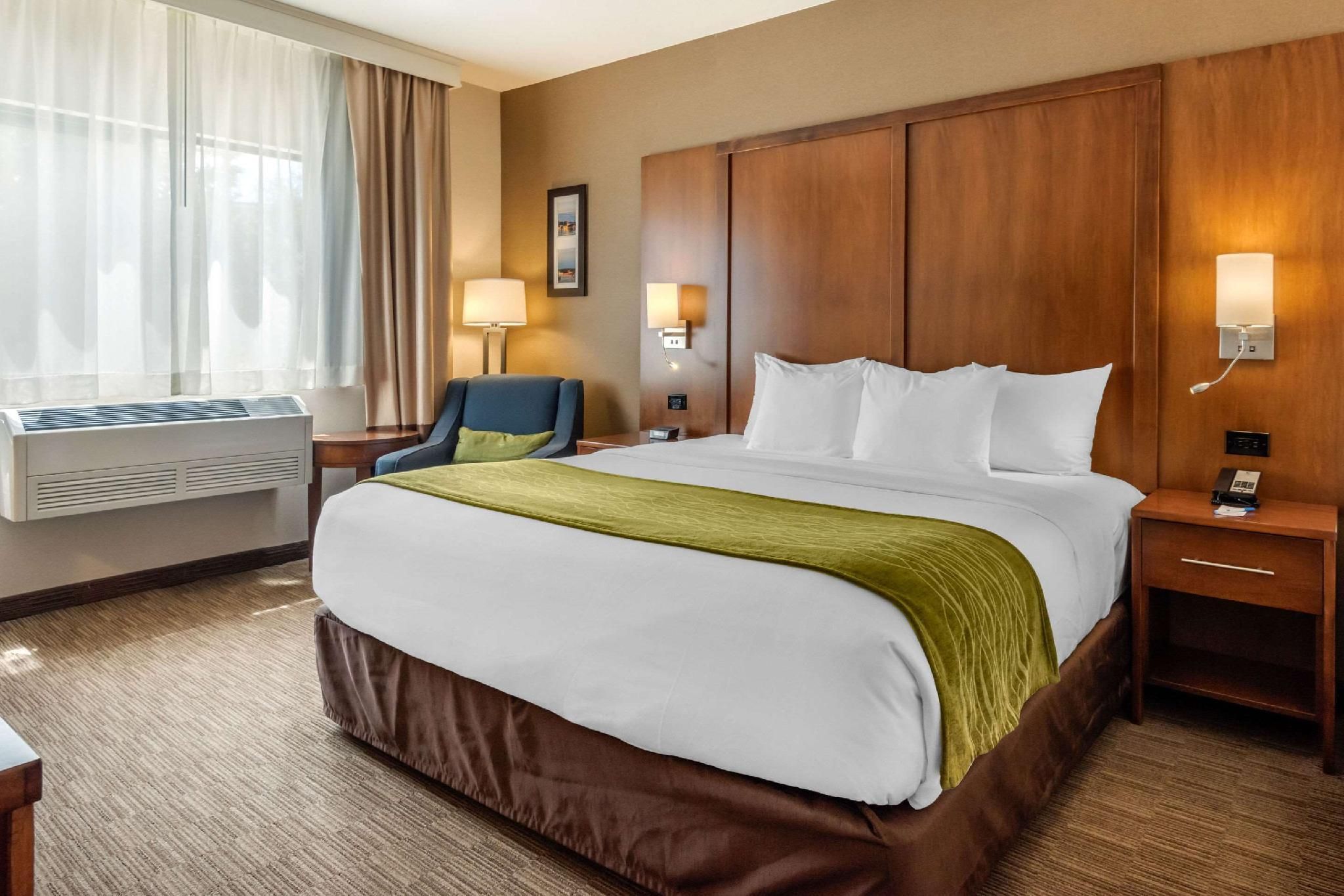 1 King Bed, Nonsmoking, Accessible