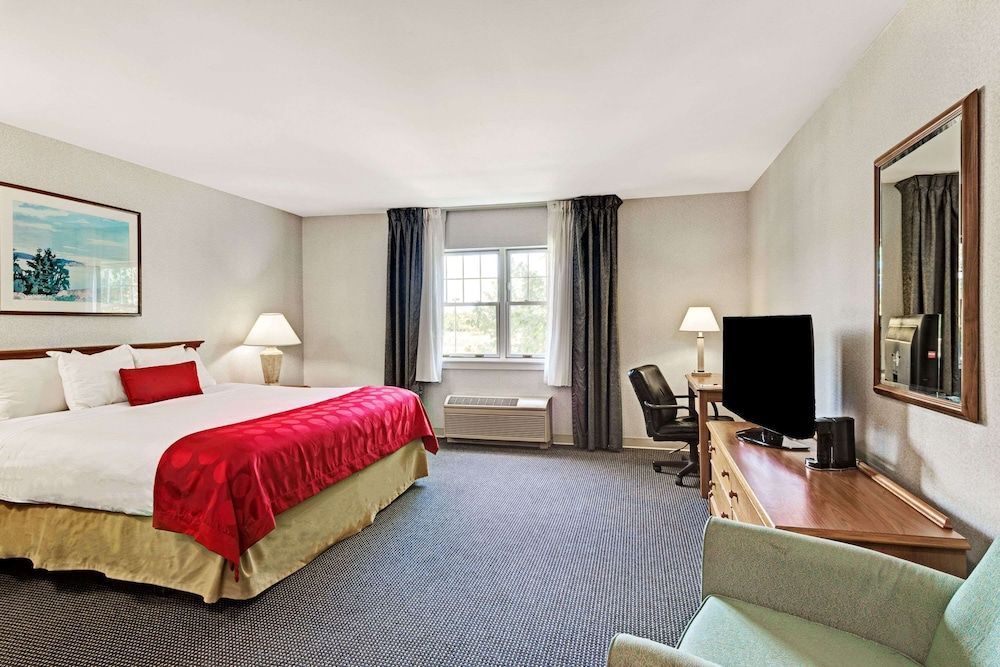 Room, 1 King Bed, Non Smoking (Mobility)