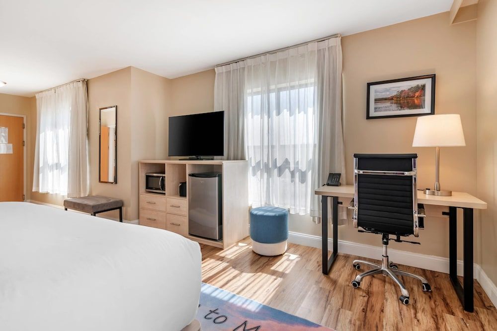 Room, 1 King Bed, Accessible, Non Smoking (Roll-In Shower)