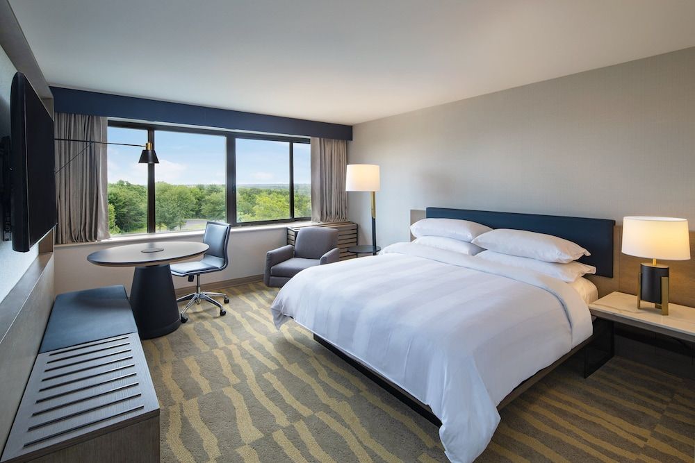Room, 1 King Bed (Mobility/Hearing Access, Roll-in Shwr)