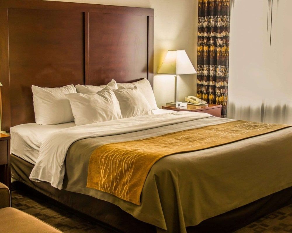 Standard Room, 1 King Bed, Non Smoking