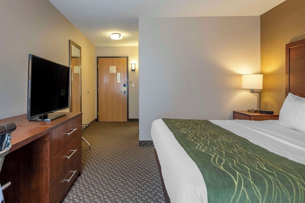 Standard Room, 1 King Bed, Non Smoking