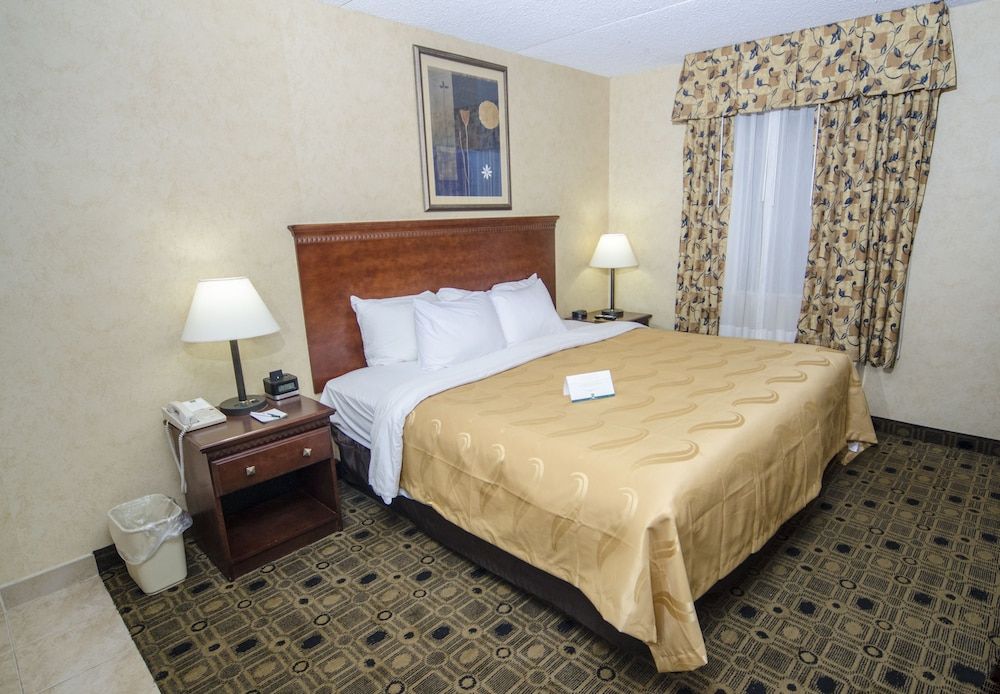 Standard Room, 1 King Bed with Sofa bed, Non Smoking
