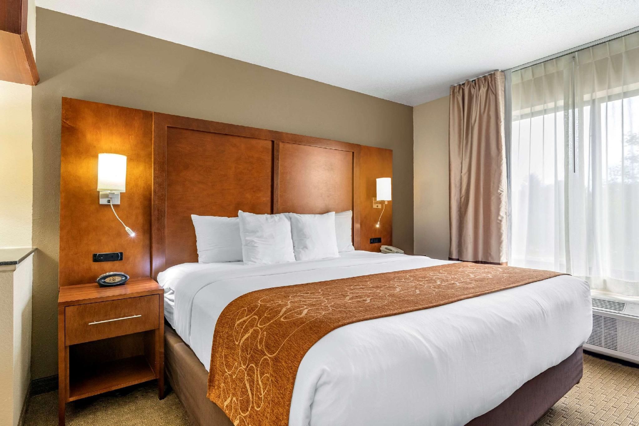 1 King Bed, Suite, Nonsmoking