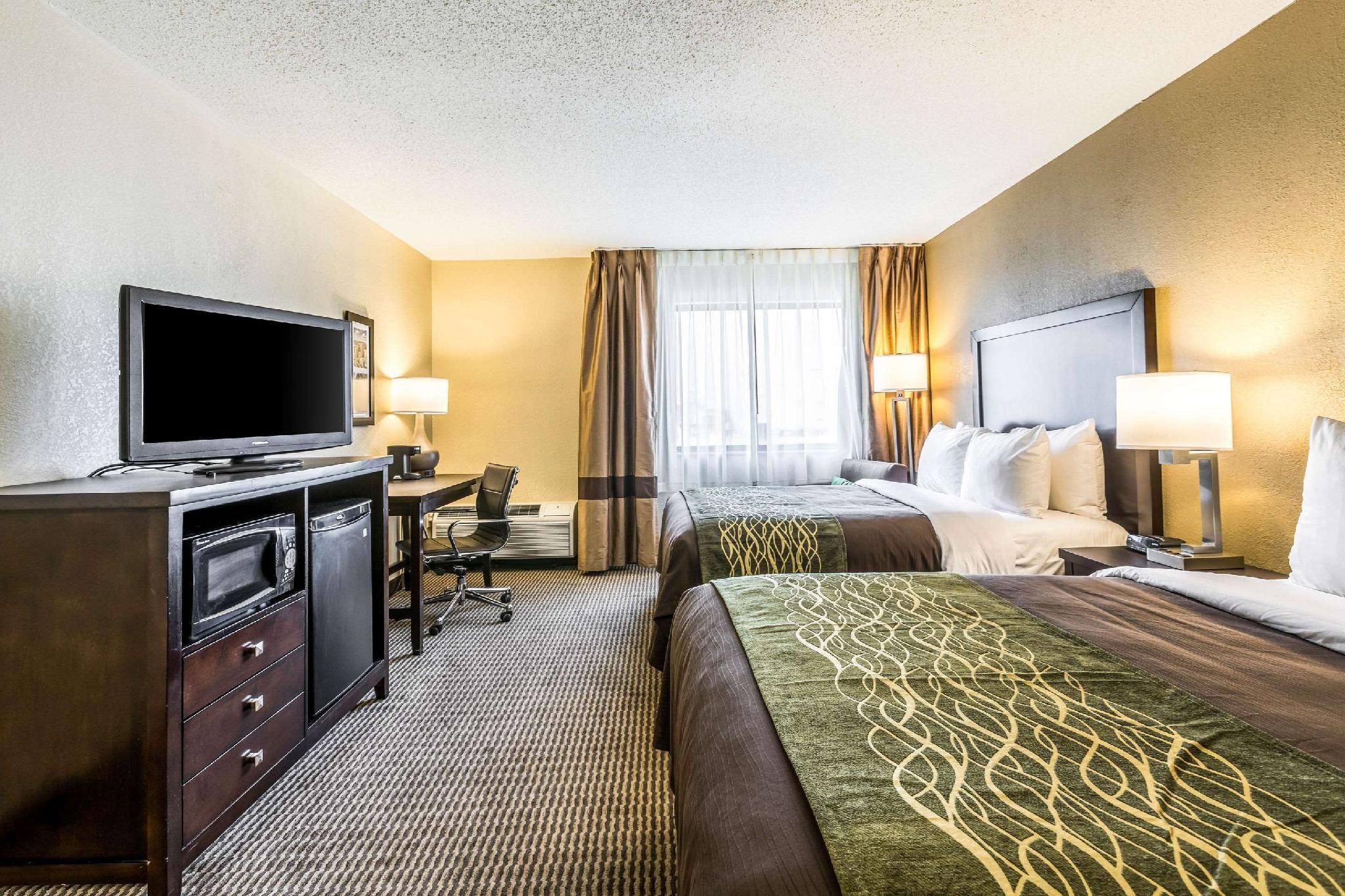 undefined Comfort Inn Detroit Downtown 8