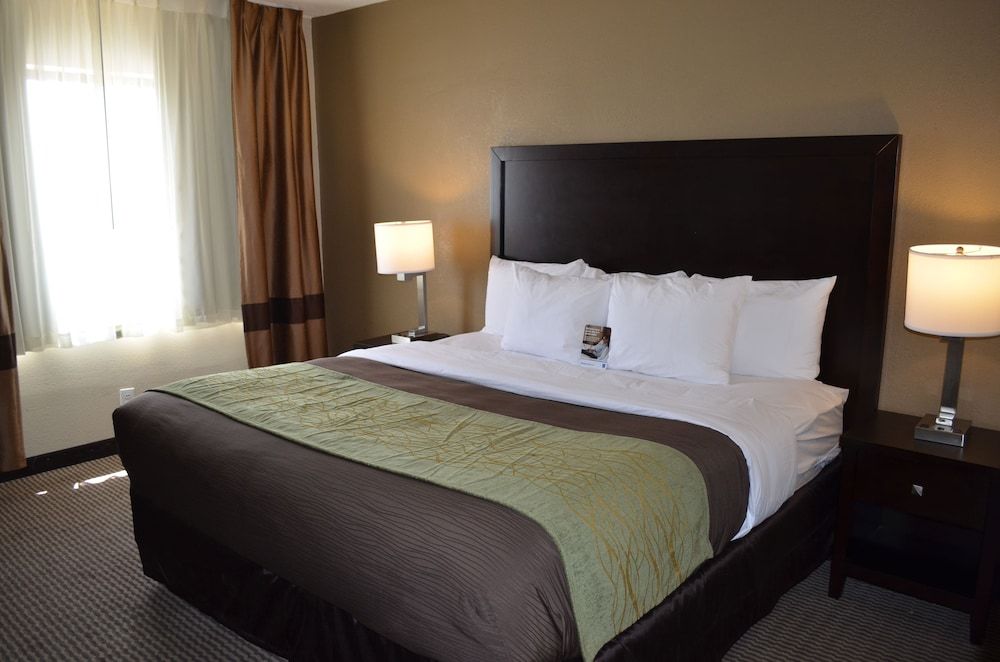 Comfort Inn Detroit Downtown Standard Room, 1 Double Bed, Accessible, Non Smoking 3