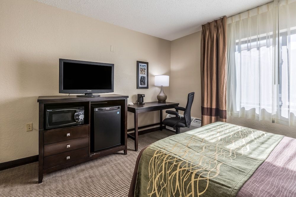 Comfort Inn Detroit Downtown Standard Room, 1 Double Bed, Accessible, Non Smoking