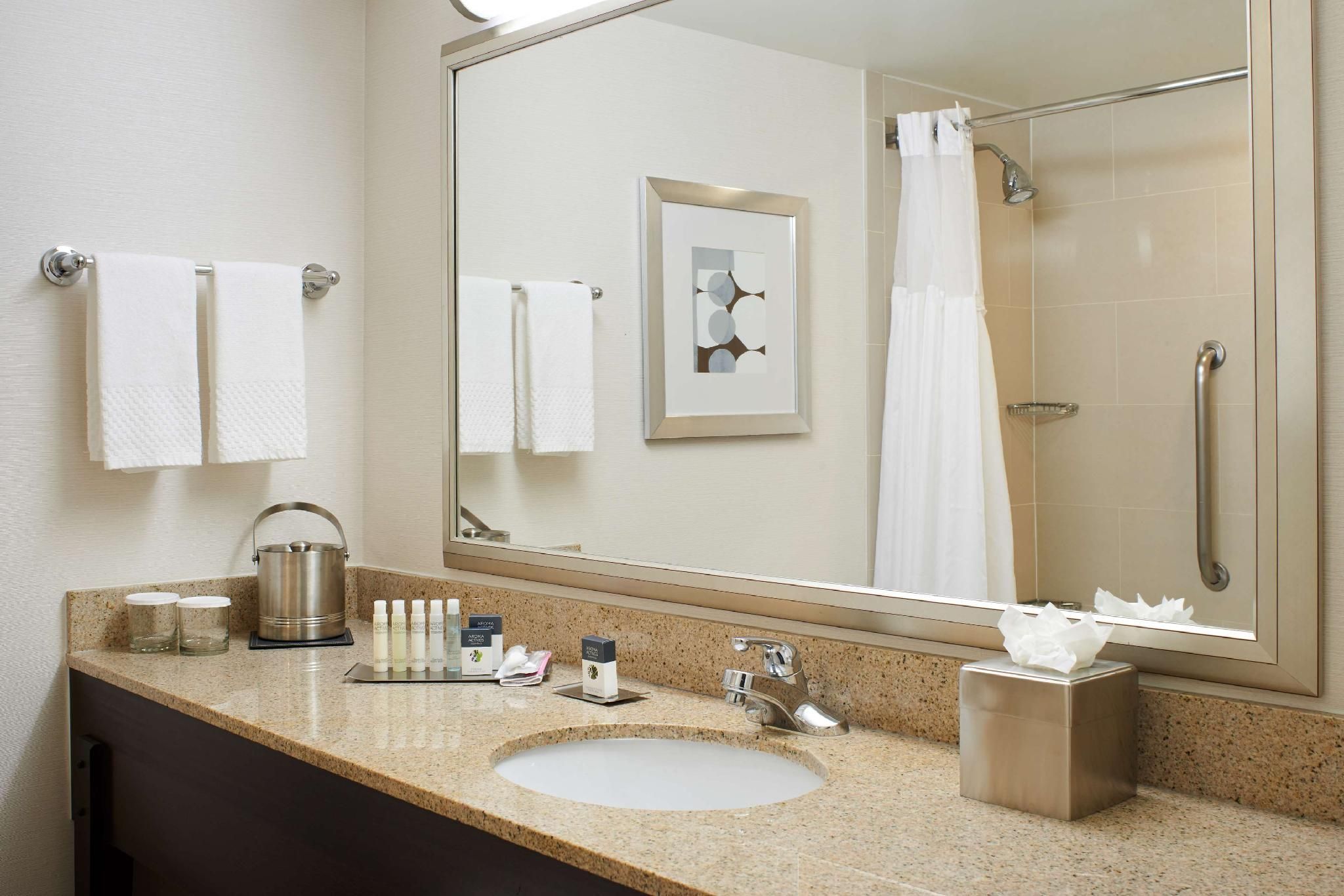 1 KING MOBILITY ACCESSIBLE W/ BATHTUB NO SMOK