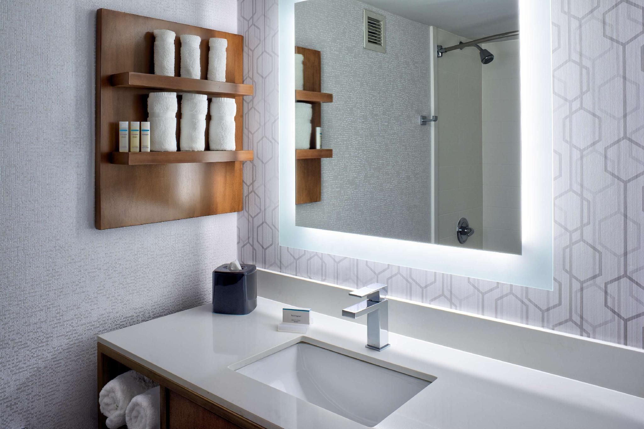 undefined Hilton Garden Inn Detroit Downtown 3