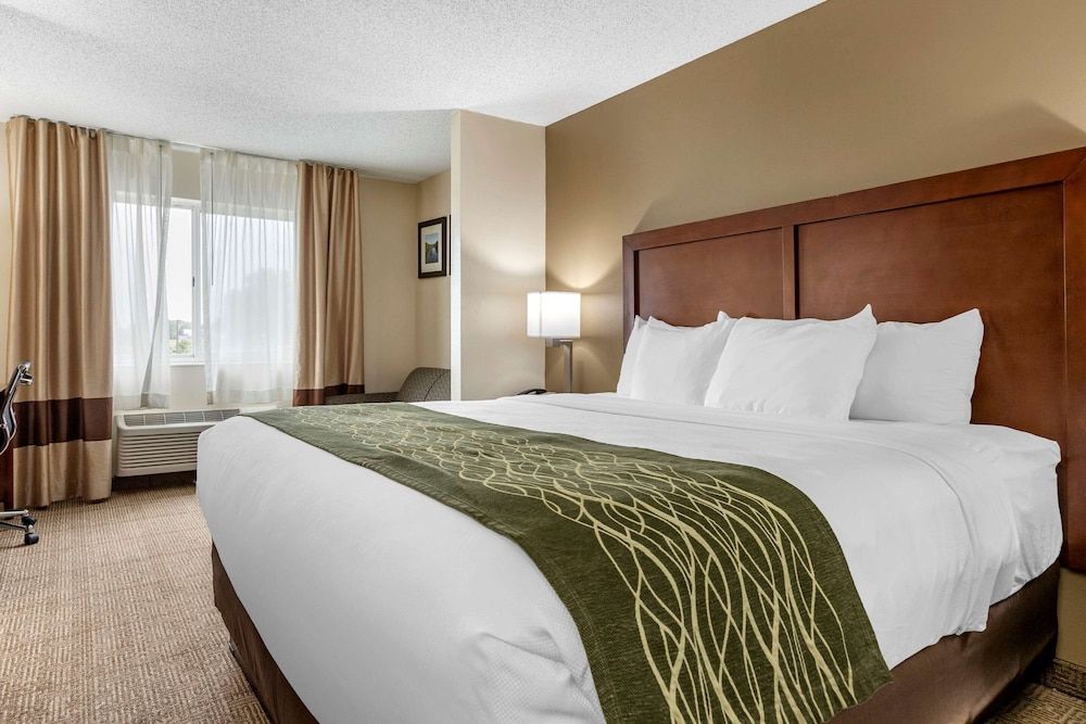 Suite, 1 King Bed, Non Smoking