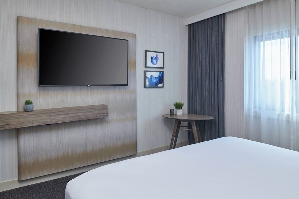Room, 1 King Bed with Sofa bed, Non Smoking (Mobility Accessible, Roll-in Shower)
