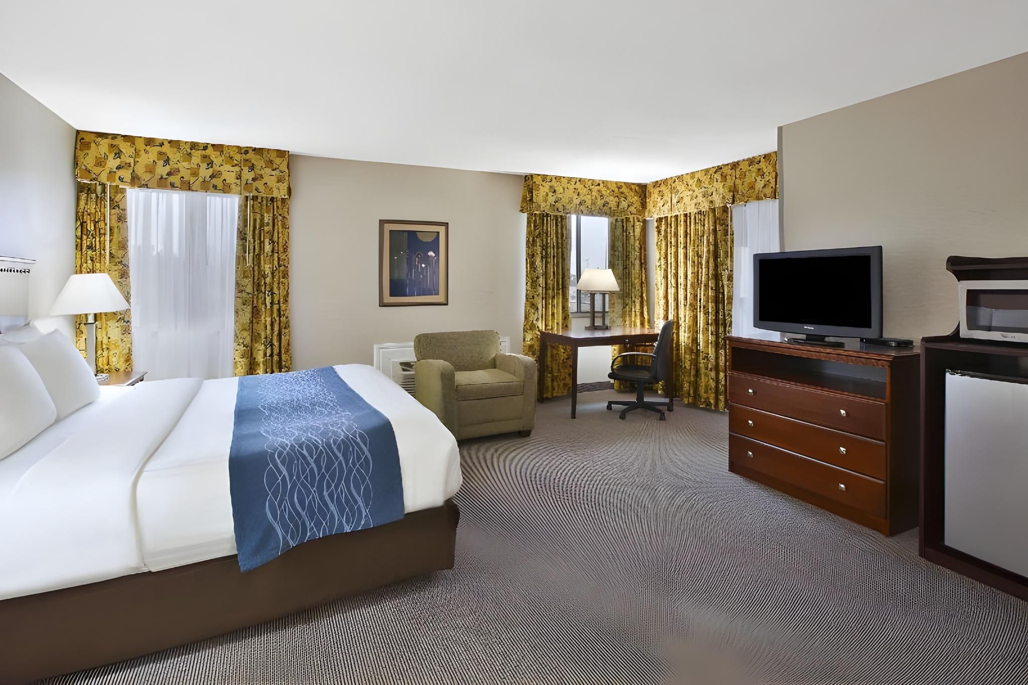 1 King Bed - Nonsmoking