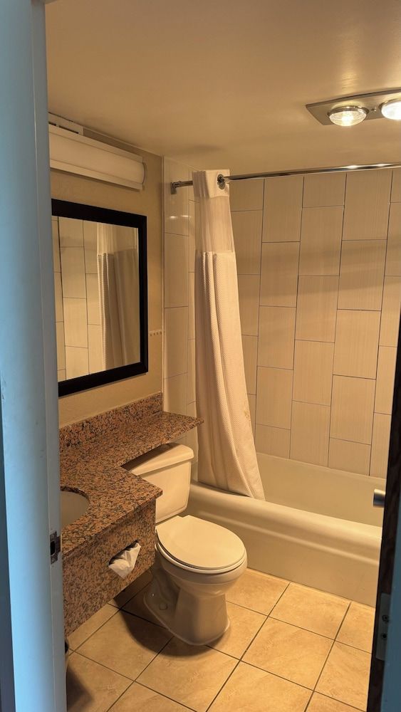Suite, 1 King Bed with Sofa bed, Non Smoking