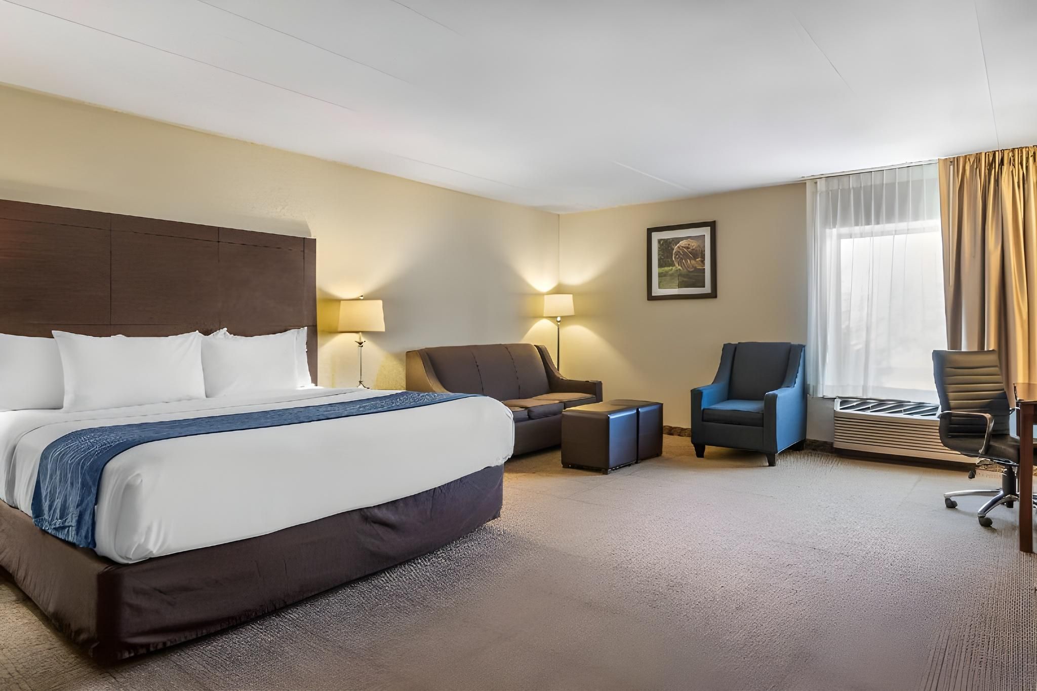 1 King Bed, Nonsmoking