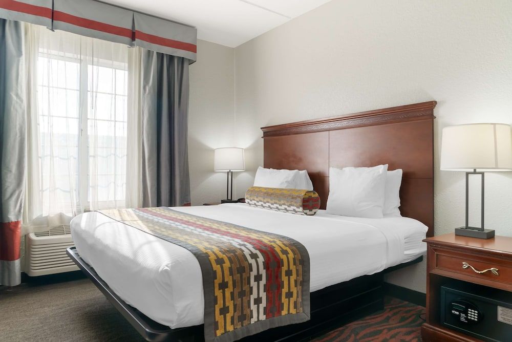 Standard Room, 1 King Bed, Non Smoking, Refrigerator & Microwave (with Single Sofabed)