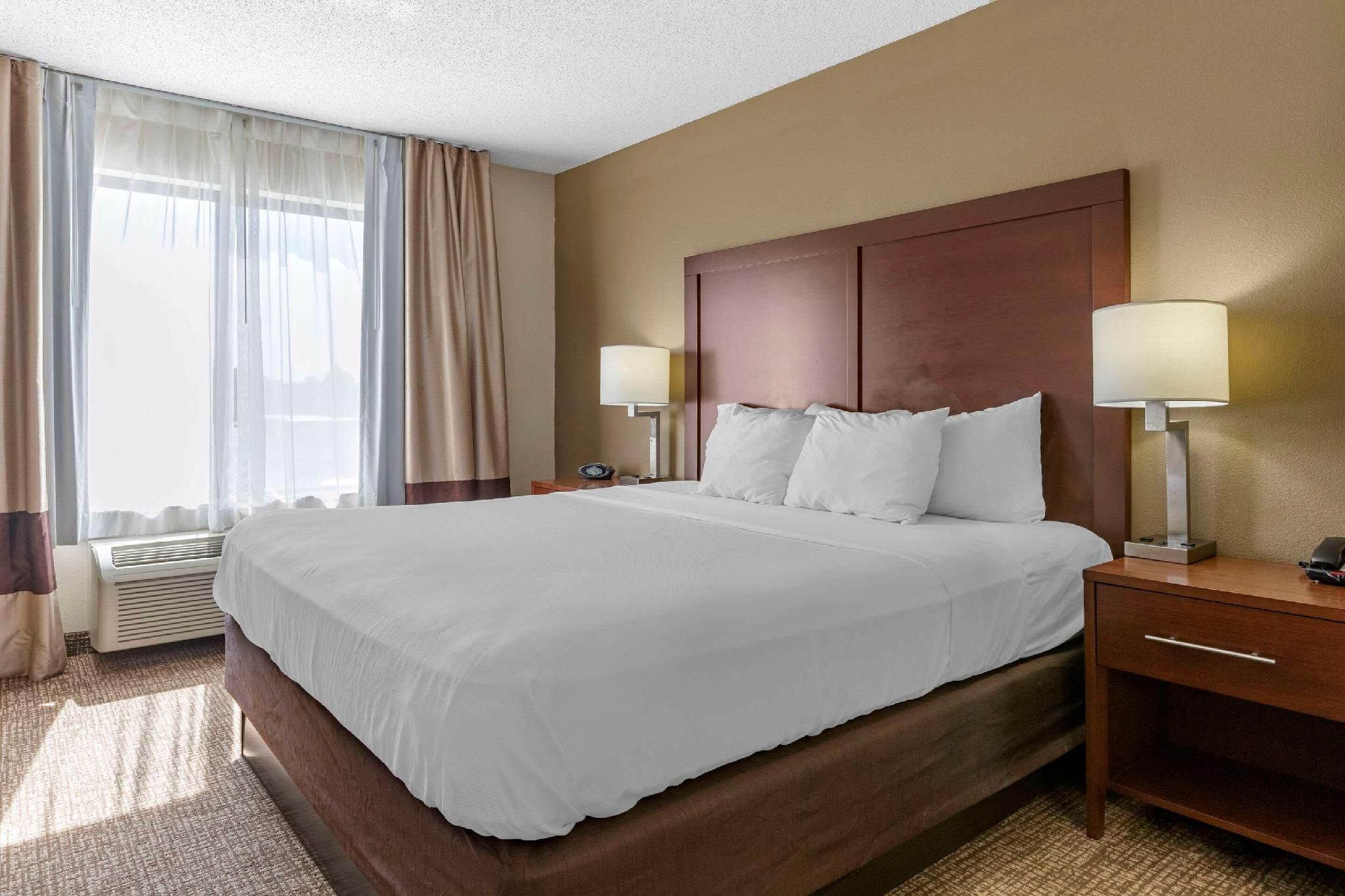 1 King Bed, Suite, Nonsmoking