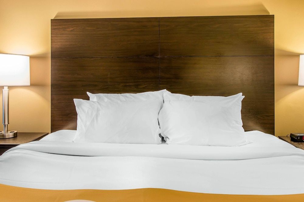 Standard Room, 1 King Bed, Non Smoking