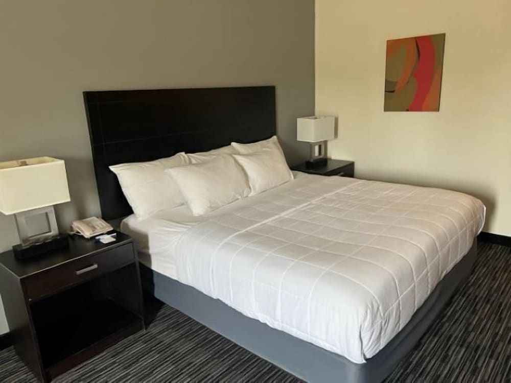 American Inn and Suites Houghton Lake Room, 1 King Bed, Non Smoking, Private Bathroom 2