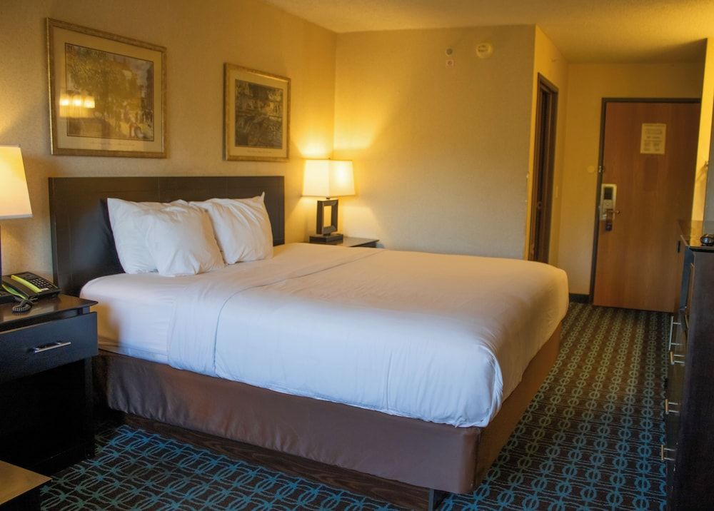 Room, 1 King Bed, Non Smoking