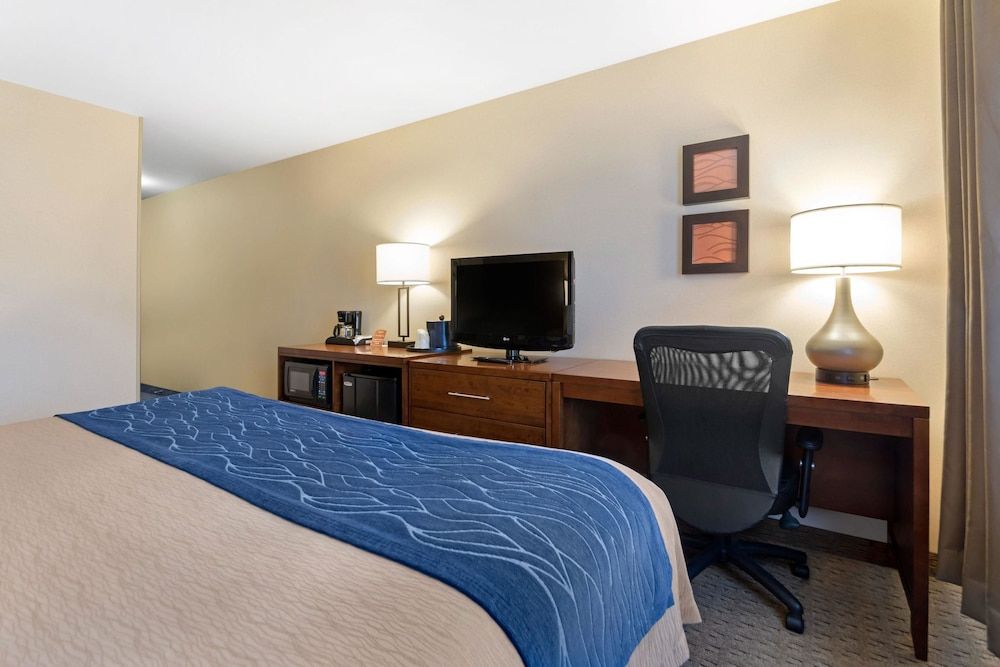 Suite, 1 King Bed with Sofa bed, Non Smoking