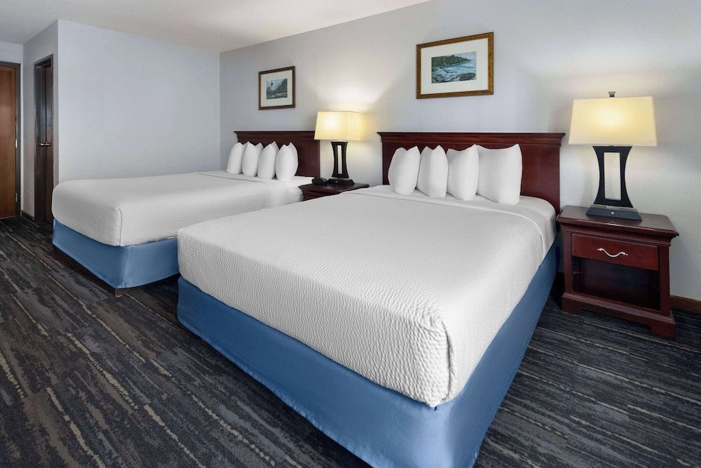Studio Suite, Multiple Beds, Non Smoking