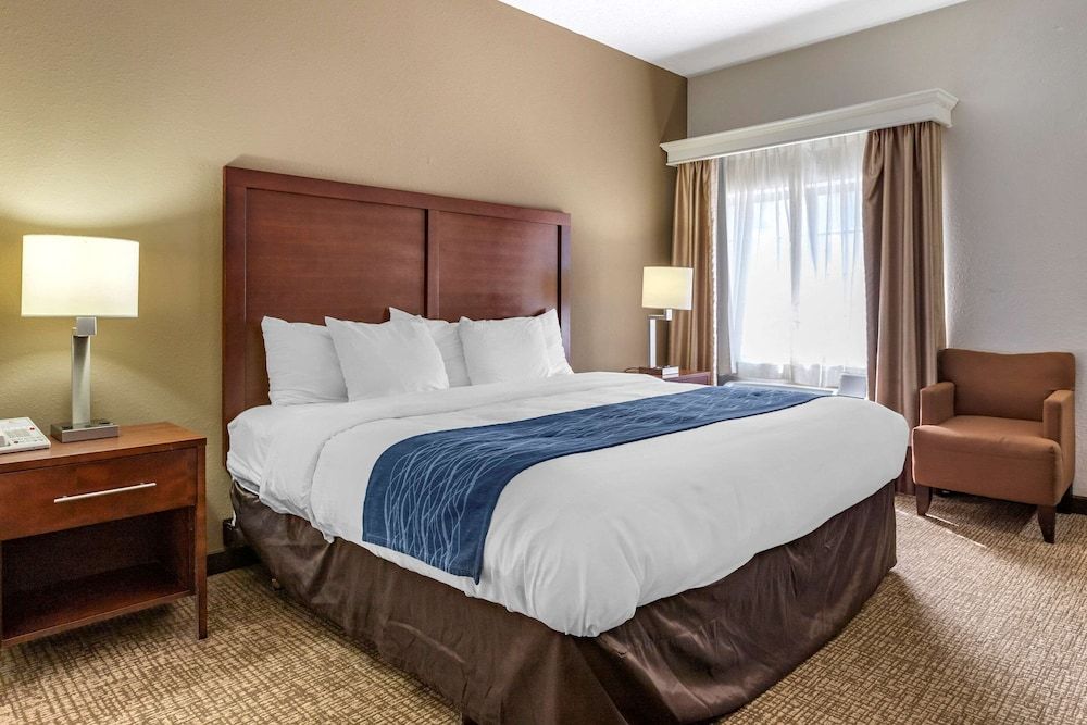 Room, 1 King Bed, Accessible, Non Smoking (Roll-In Shower)