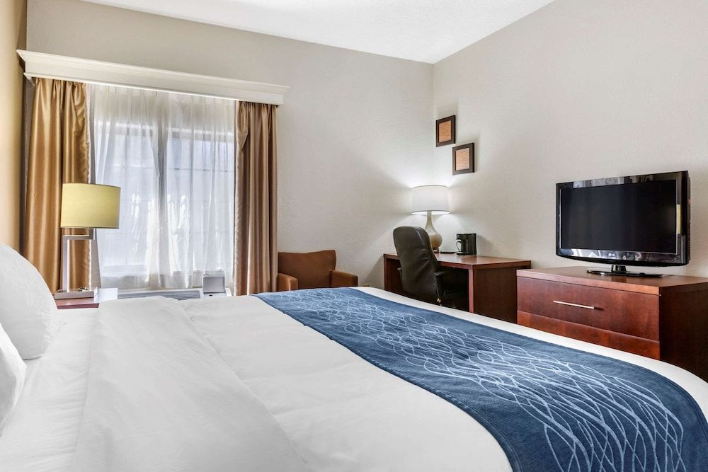 Room, 1 King Bed, Accessible, Non Smoking (Roll-In Shower)