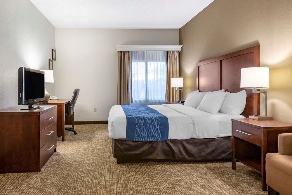 Standard Room, 1 King Bed, Non Smoking