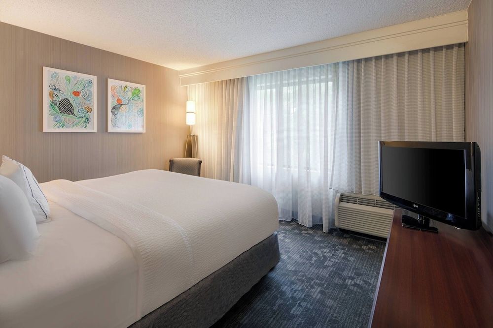 Suite, 1 King Bed with Sofa bed (Hearing Accessible)
